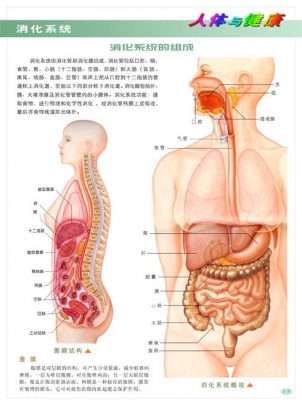 科普展板