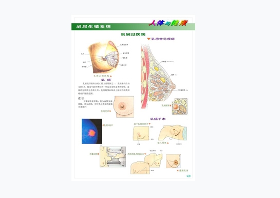 泌尿生殖系統